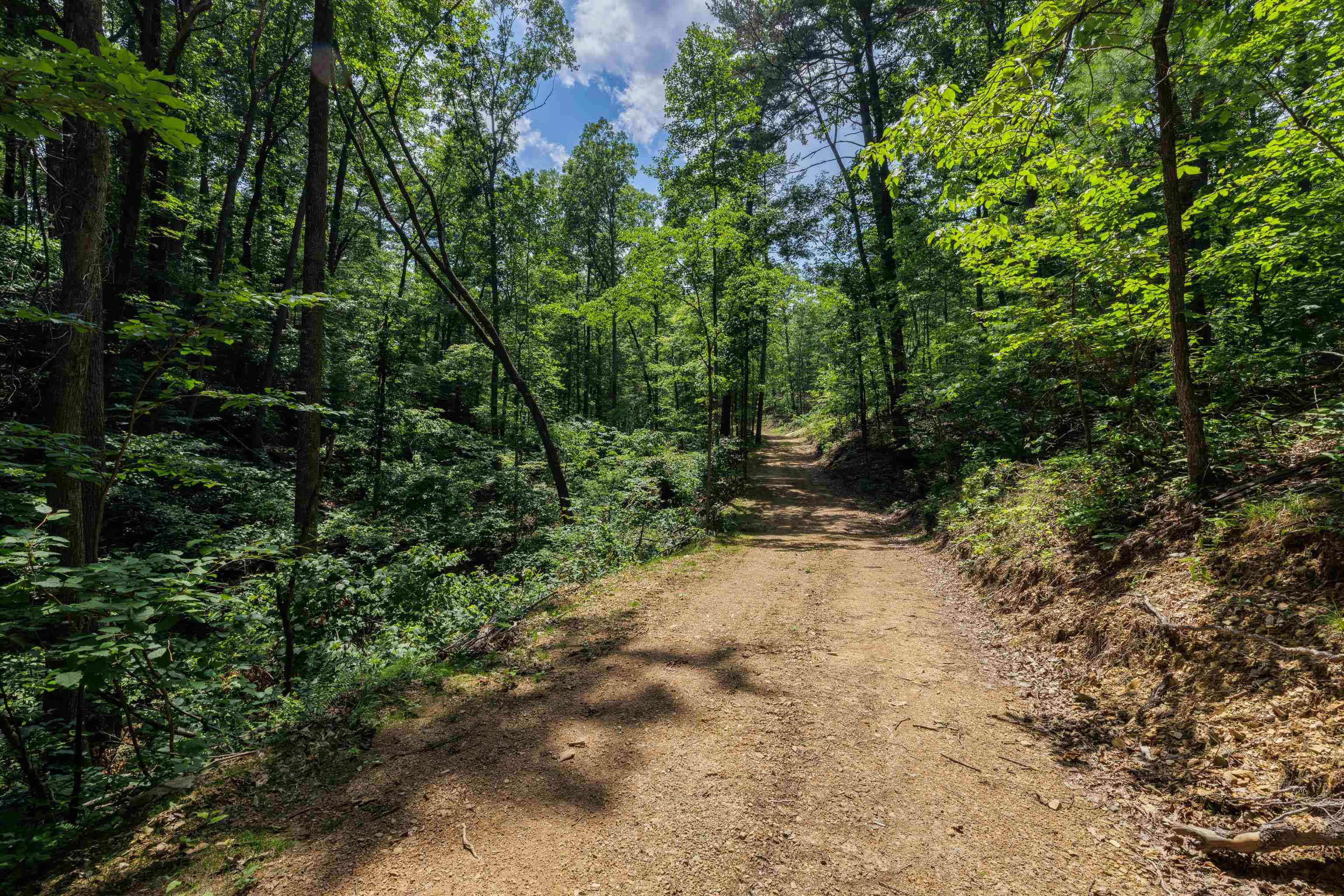 Tbd Stribling Springs Road Mount Solon, VA 22843 - Photo 38 of 40