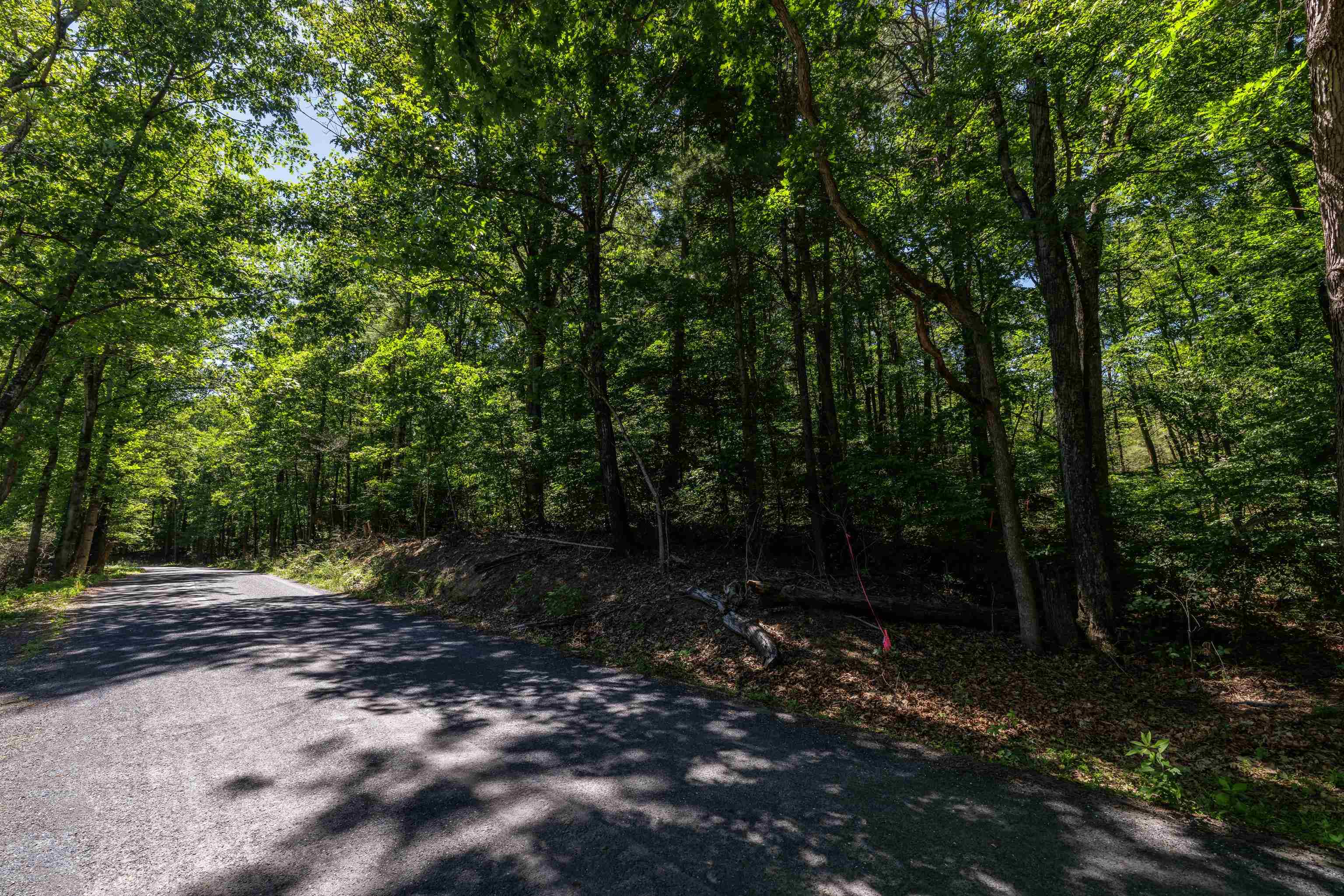 Tbd Stribling Springs Road Mount Solon, VA 22843 - Photo 6 of 40