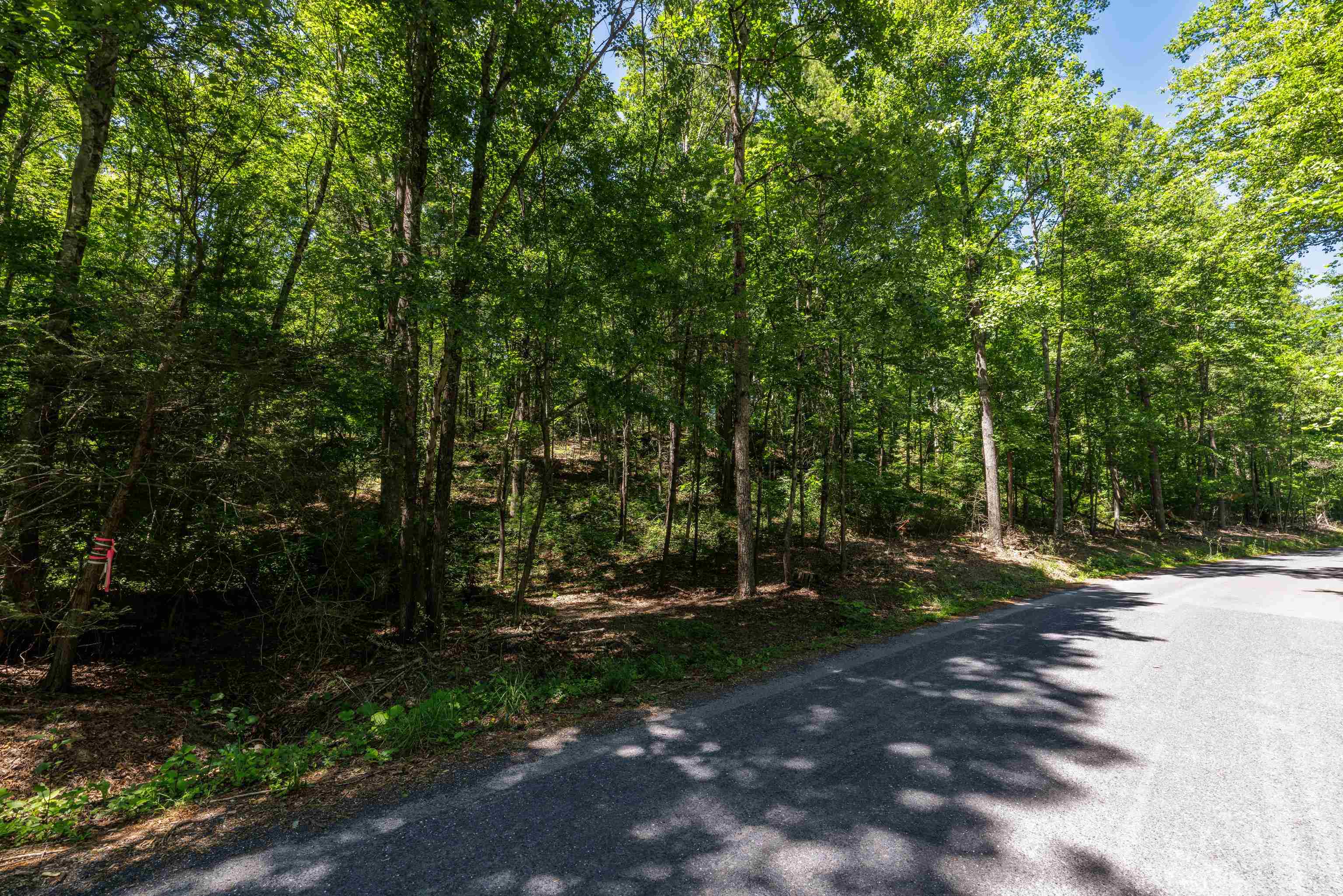 Tbd Stribling Springs Road Mount Solon, VA 22843 - Photo 7 of 40