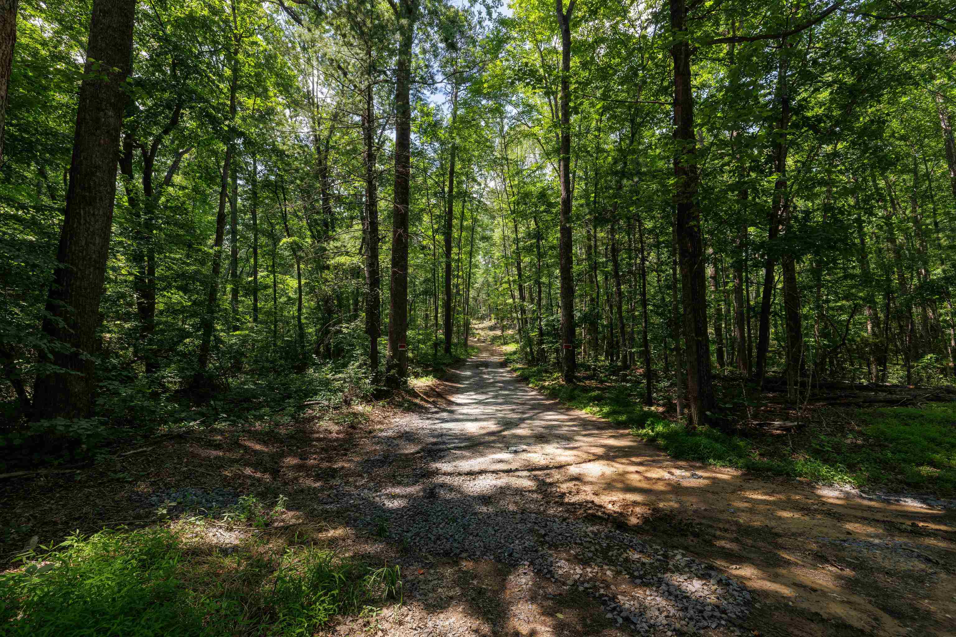 Tbd Stribling Springs Road Mount Solon, VA 22843 - Photo 8 of 40