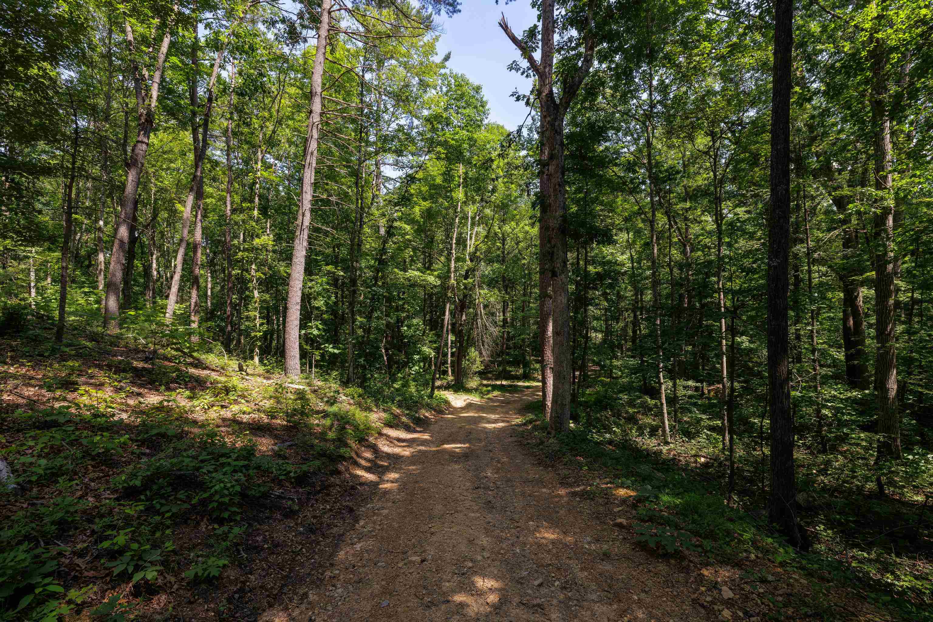 Tbd Stribling Springs Road Mount Solon, VA 22843 - Photo 9 of 40