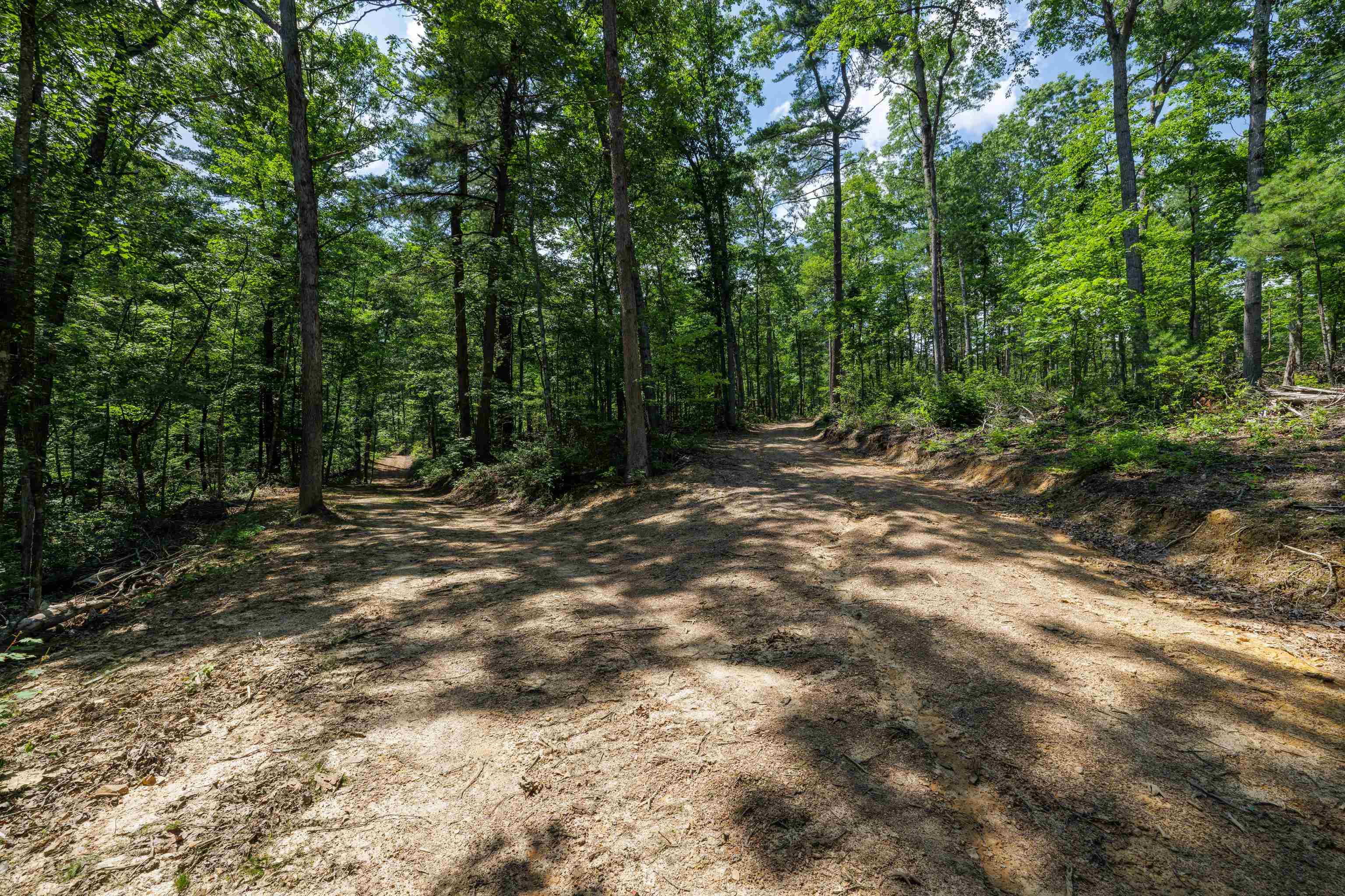 Tbd Stribling Springs Road Mount Solon, VA 22843 - Photo 10 of 40