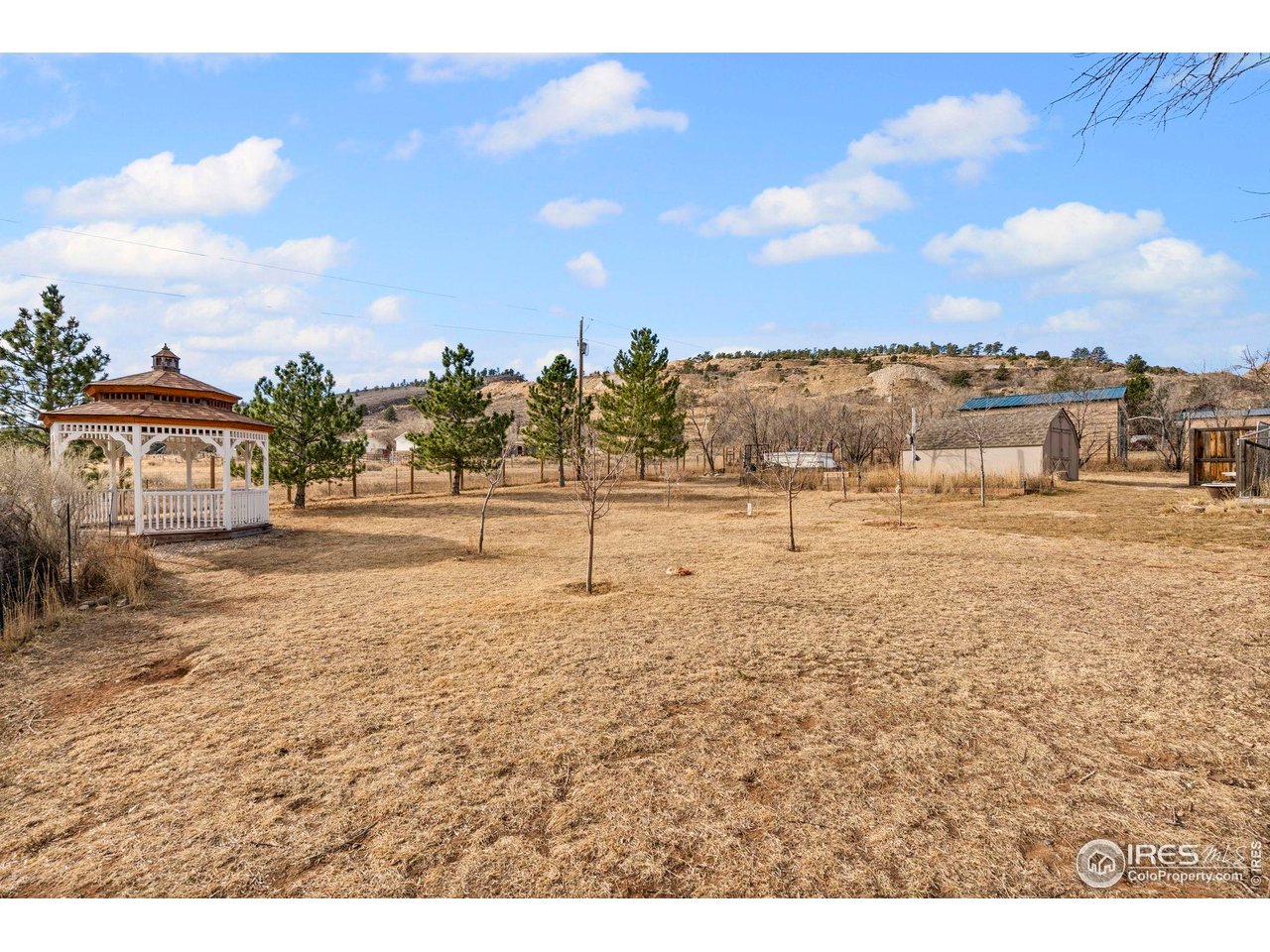 8108 Buck Ridge Lane Loveland, CO 80538 - Photo 35 of 47