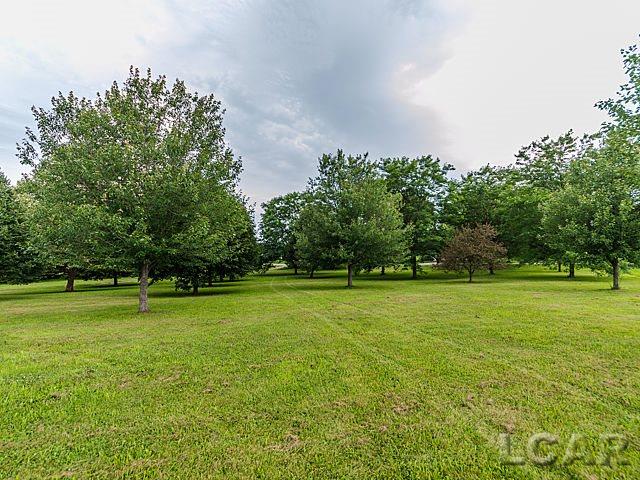 7801 Clinton Macon Road Clinton, MI 49236 - Photo 8 of 38 31252695-7.JPG