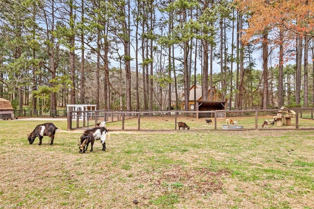 3305 Oak Ridge Road Summerfield, NC 27358 - Photo 40 of 44