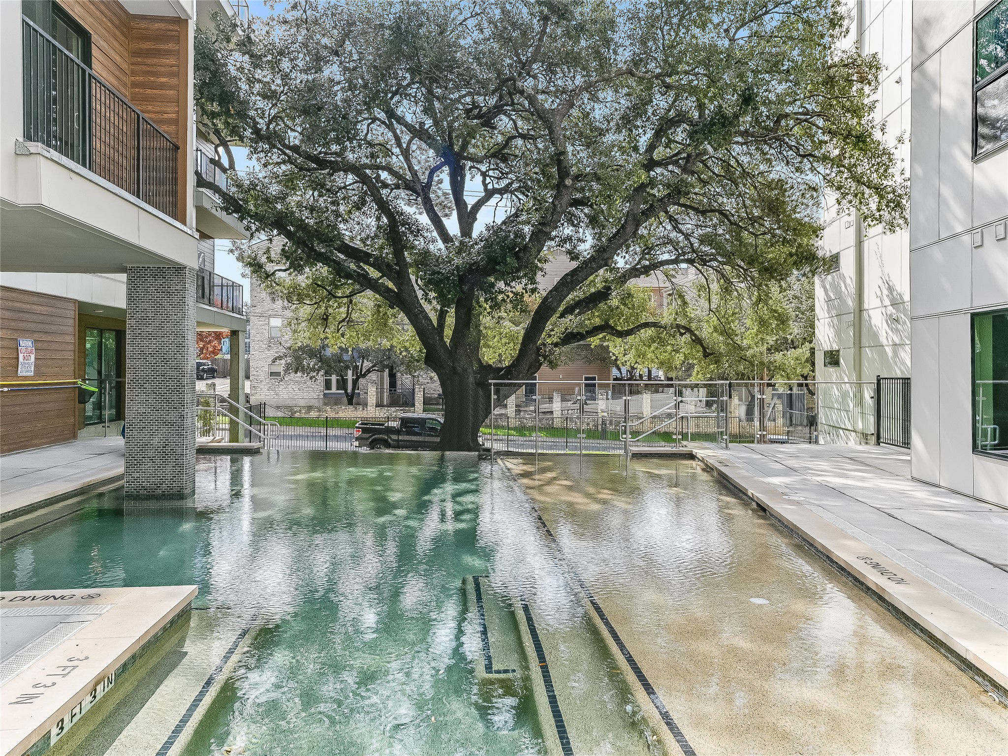 2500 Longview Street, Unit 518 Austin, TX 78705 - Photo 13 of 20 Pool featuring 100 year old oak tree