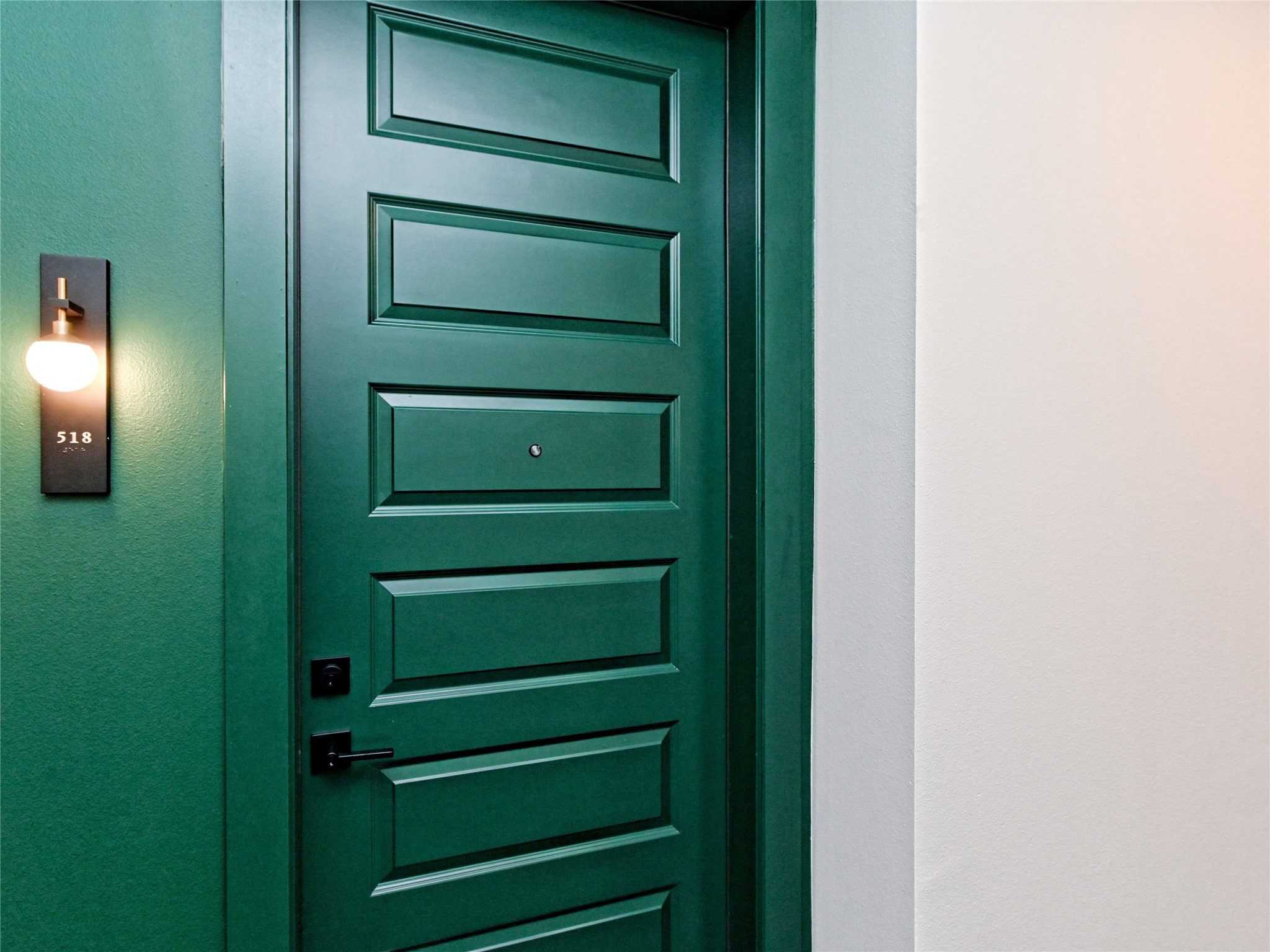 2500 Longview Street, Unit 518 Austin, TX 78705 - Photo 20 of 20 Front door