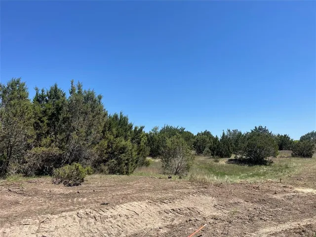 a view of a yard with a tree