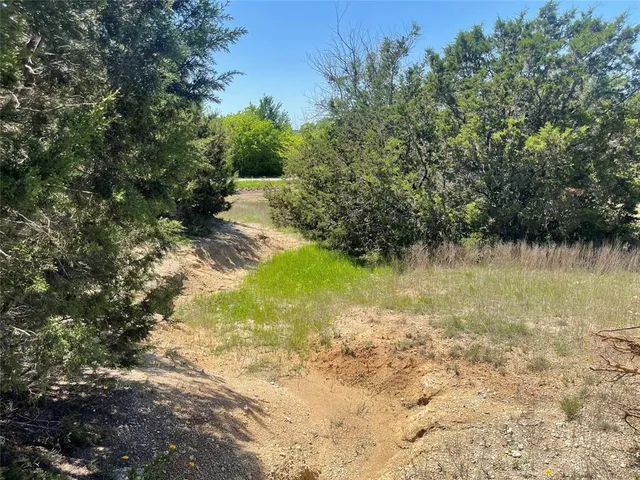 a view of lake with green space