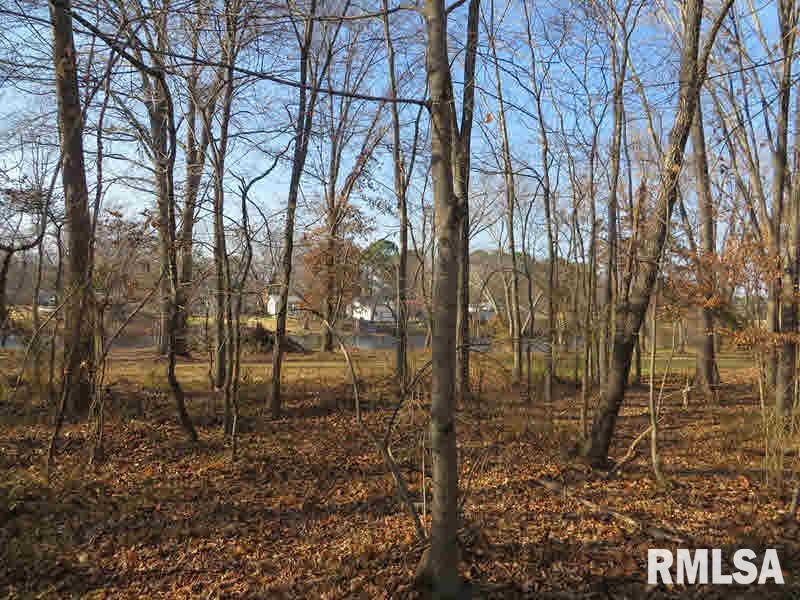 1783 West Lake Road Murphysboro, IL 62966 - Photo 44 of 45 Gallery Image 44