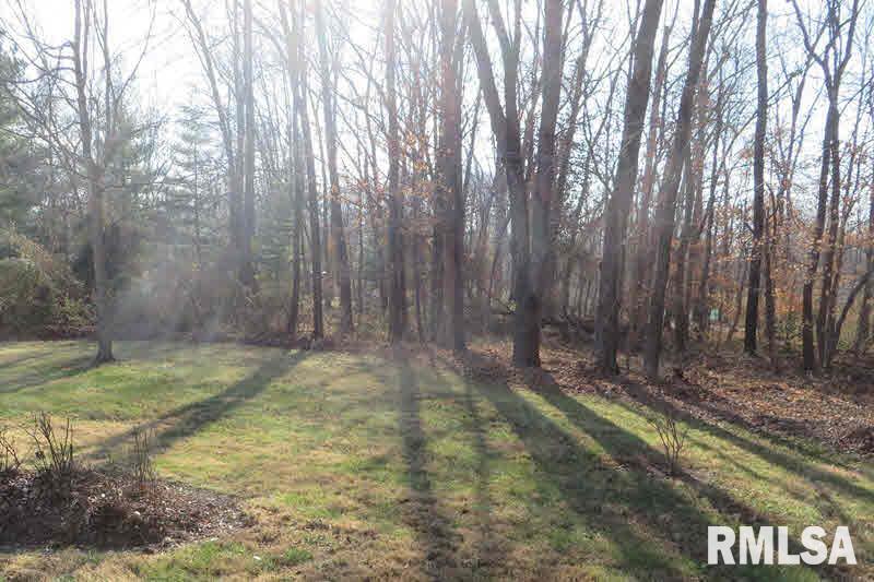 1783 West Lake Road Murphysboro, IL 62966 - Photo 45 of 45 Gallery Image 45