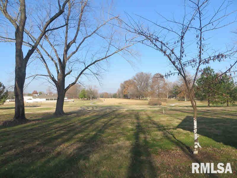 1783 West Lake Road Murphysboro, IL 62966 - Photo 9 of 45 Gallery Image 9