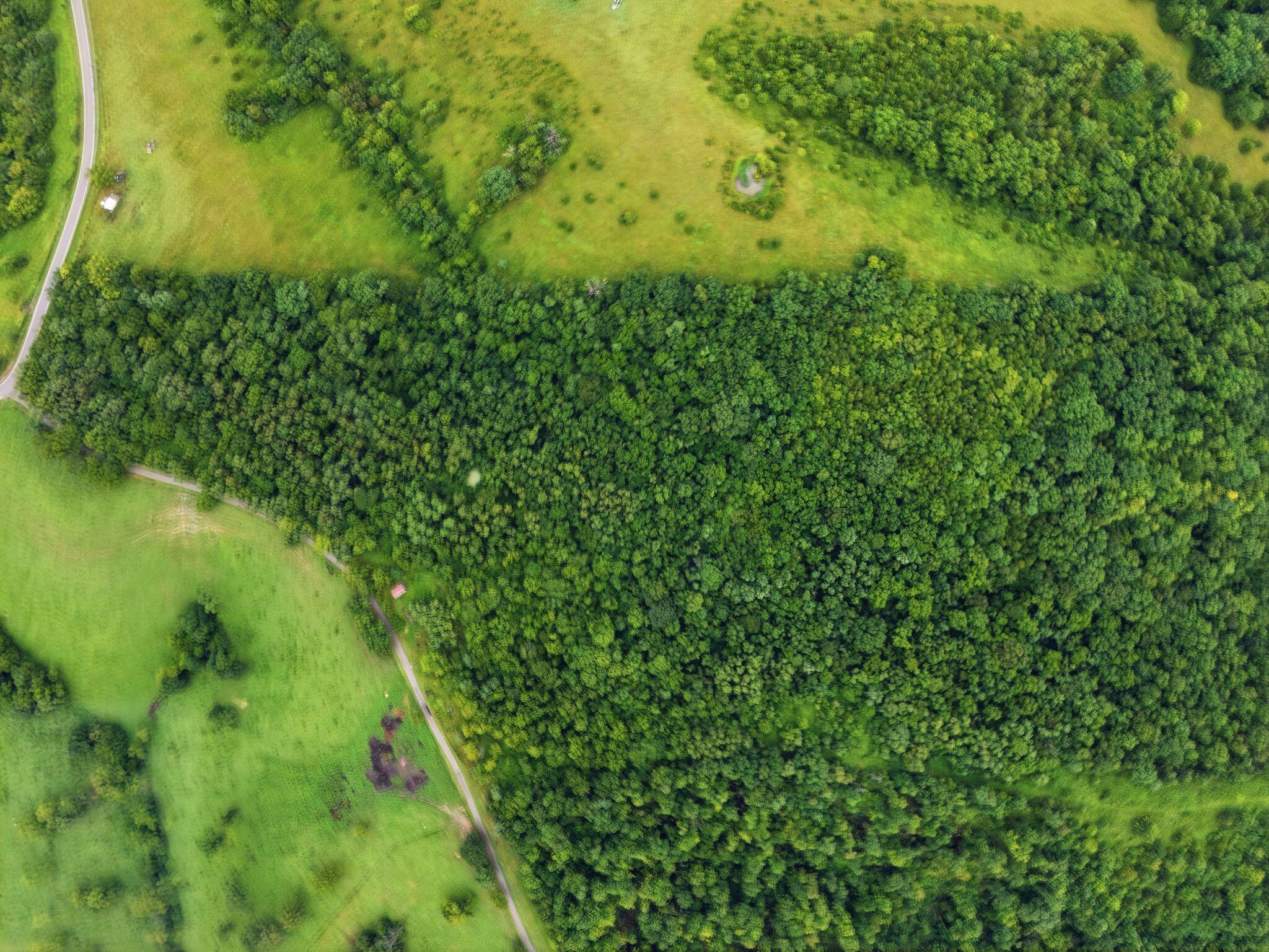 165 Rye Road Mount Olivet, KY 41064 - Photo 8 of 11 10_dji_20260812141236_0112_d
