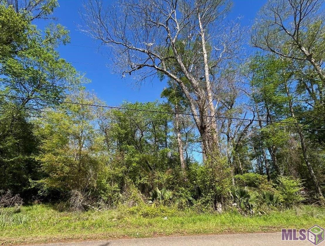 Lot 23 La Trace Road French Settlement, LA 70733 - Photo 1 of 5