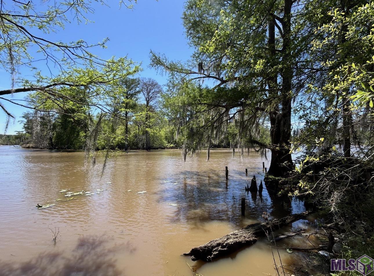 Lot 23 La Trace Road French Settlement, LA 70733 - Photo 2 of 5