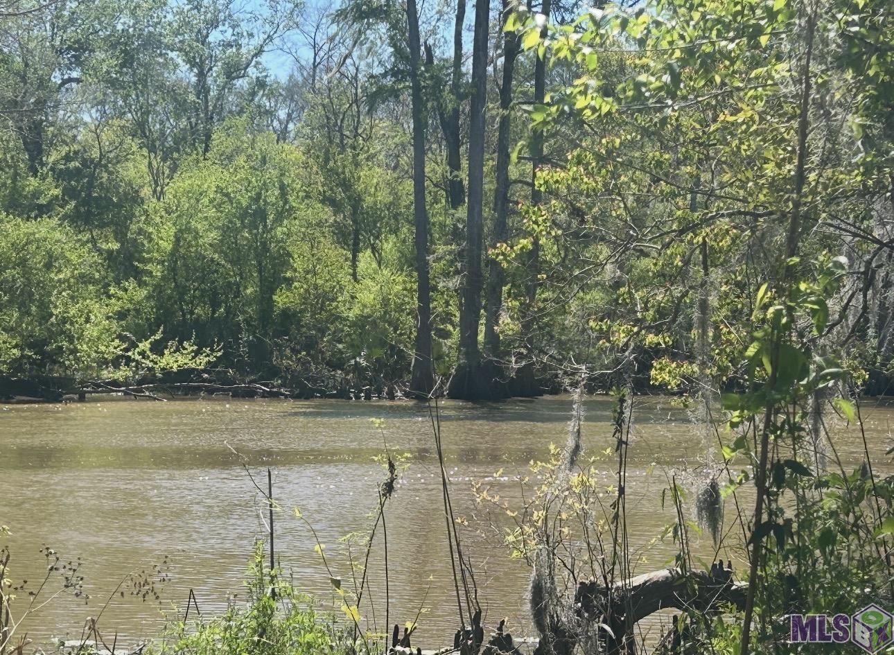 Lot 23 La Trace Road French Settlement, LA 70733 - Photo 5 of 5