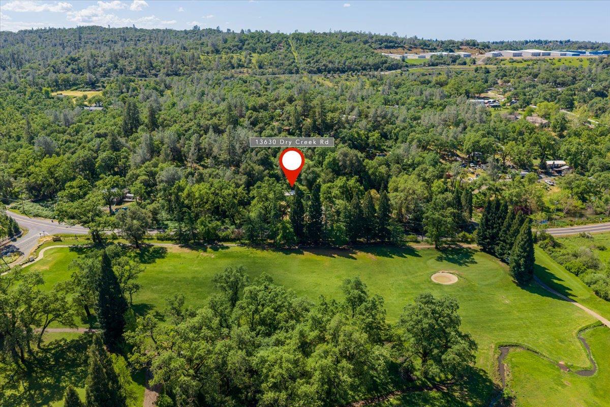 13630 Dry Creek Road Auburn, CA 95602 - Photo 17 of 46 a view of a lush green forest