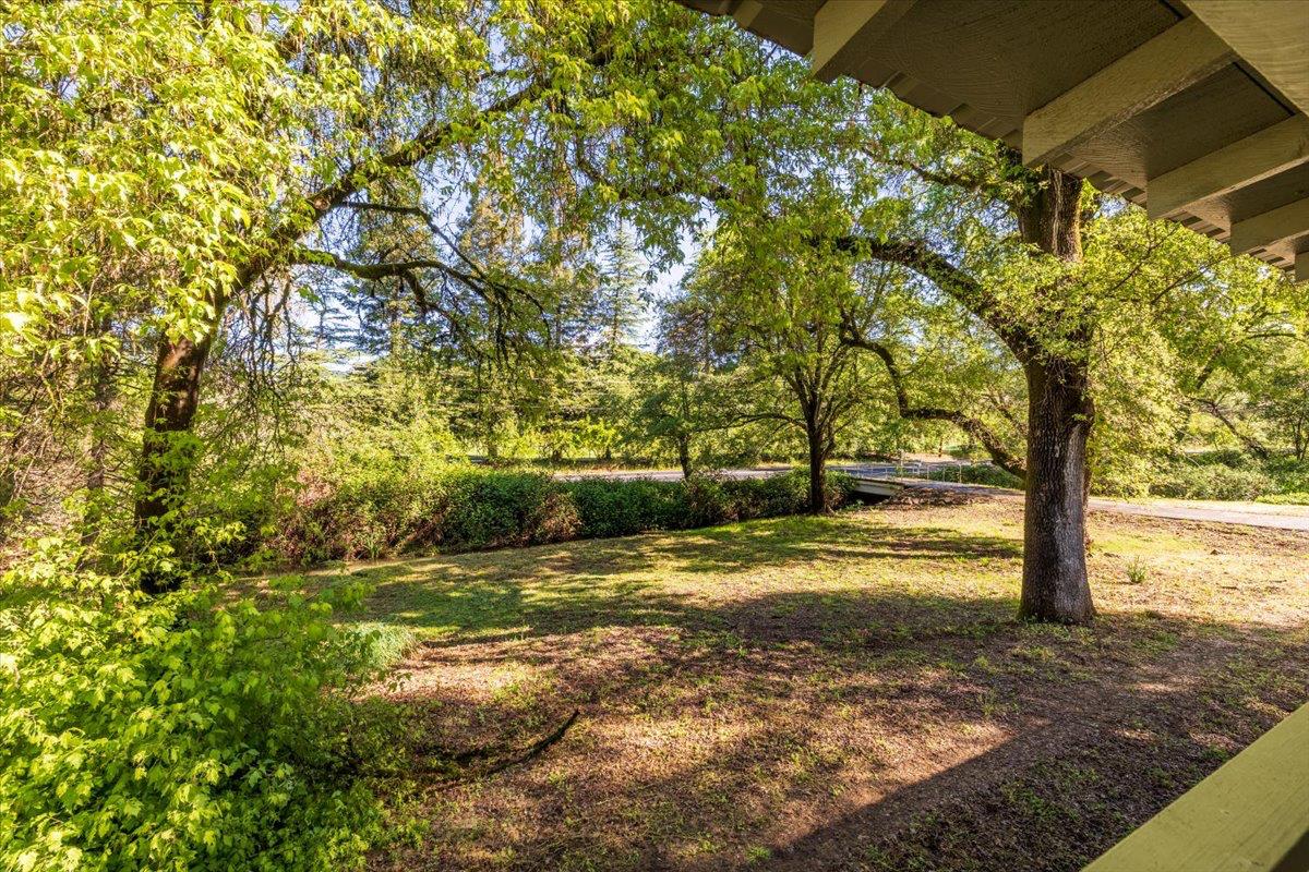 13630 Dry Creek Road Auburn, CA 95602 - Photo 9 of 46 a view of yard with trees