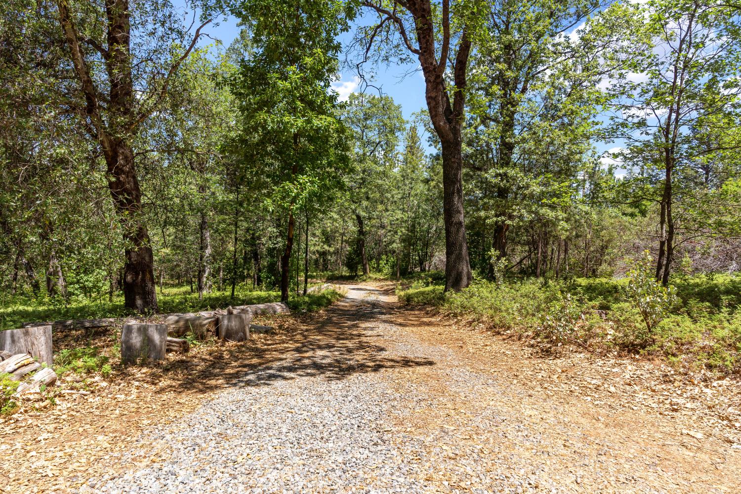 2640 Trail Gulch Road Placerville, CA 95667 - Photo 3 of 37 a view of a yard with plants and trees