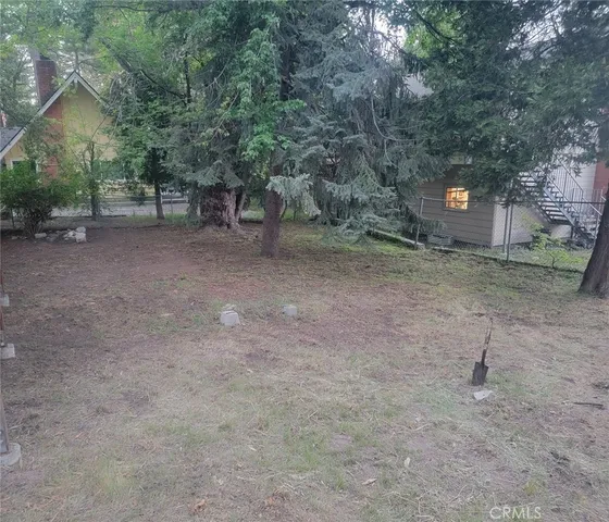 a view of a forest with trees