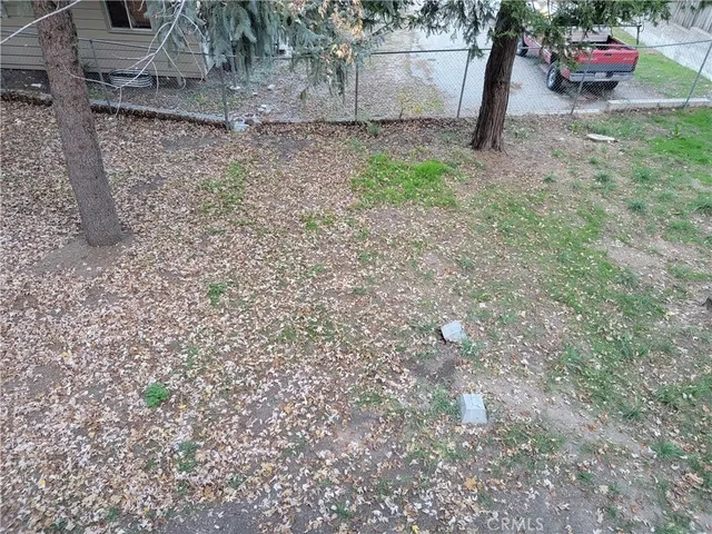 a view of a yard with a tree