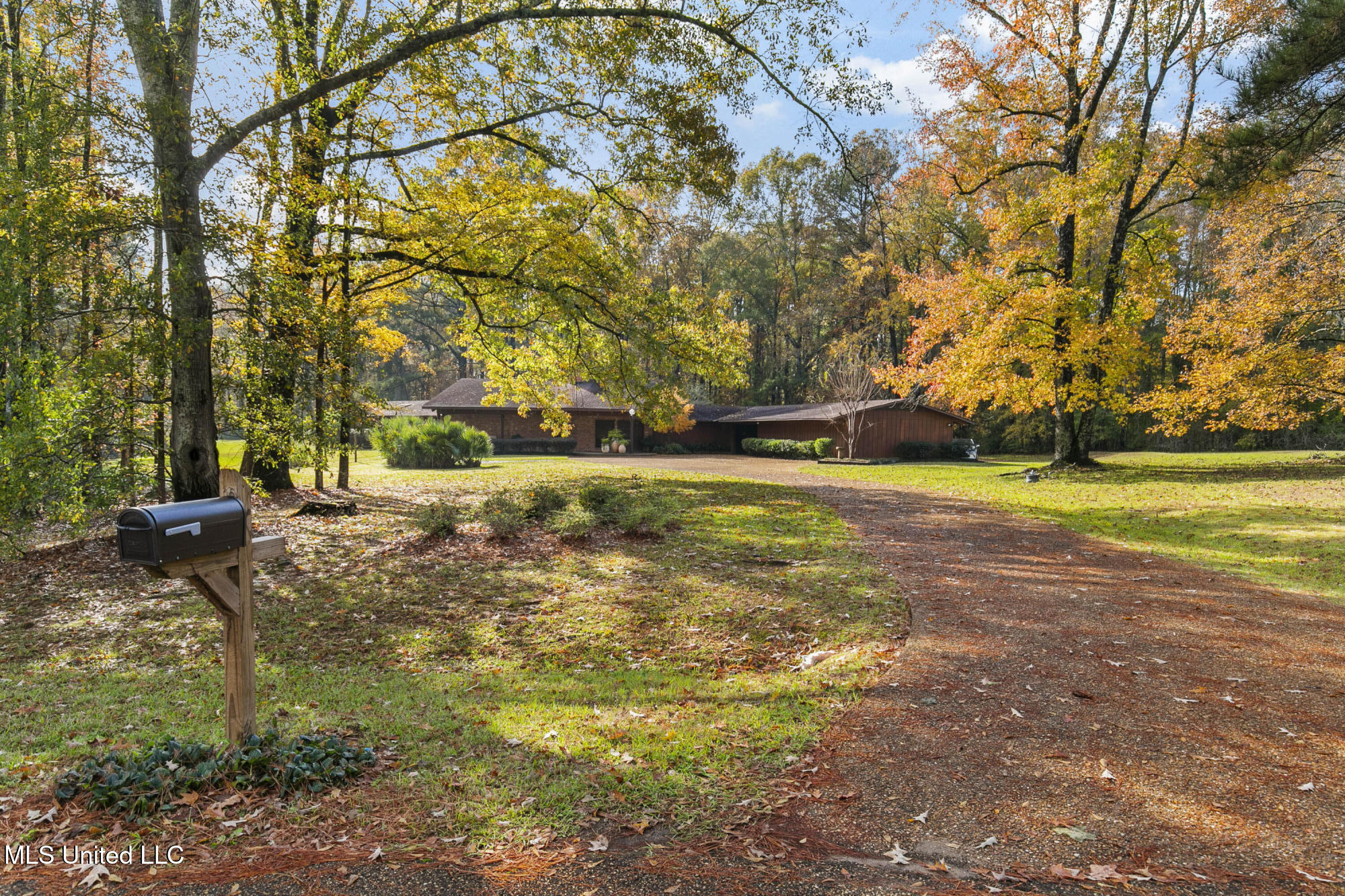 305 Hand Drive Flowood, MS 39232 - Photo 11 of 86 305 Hand Dr-1