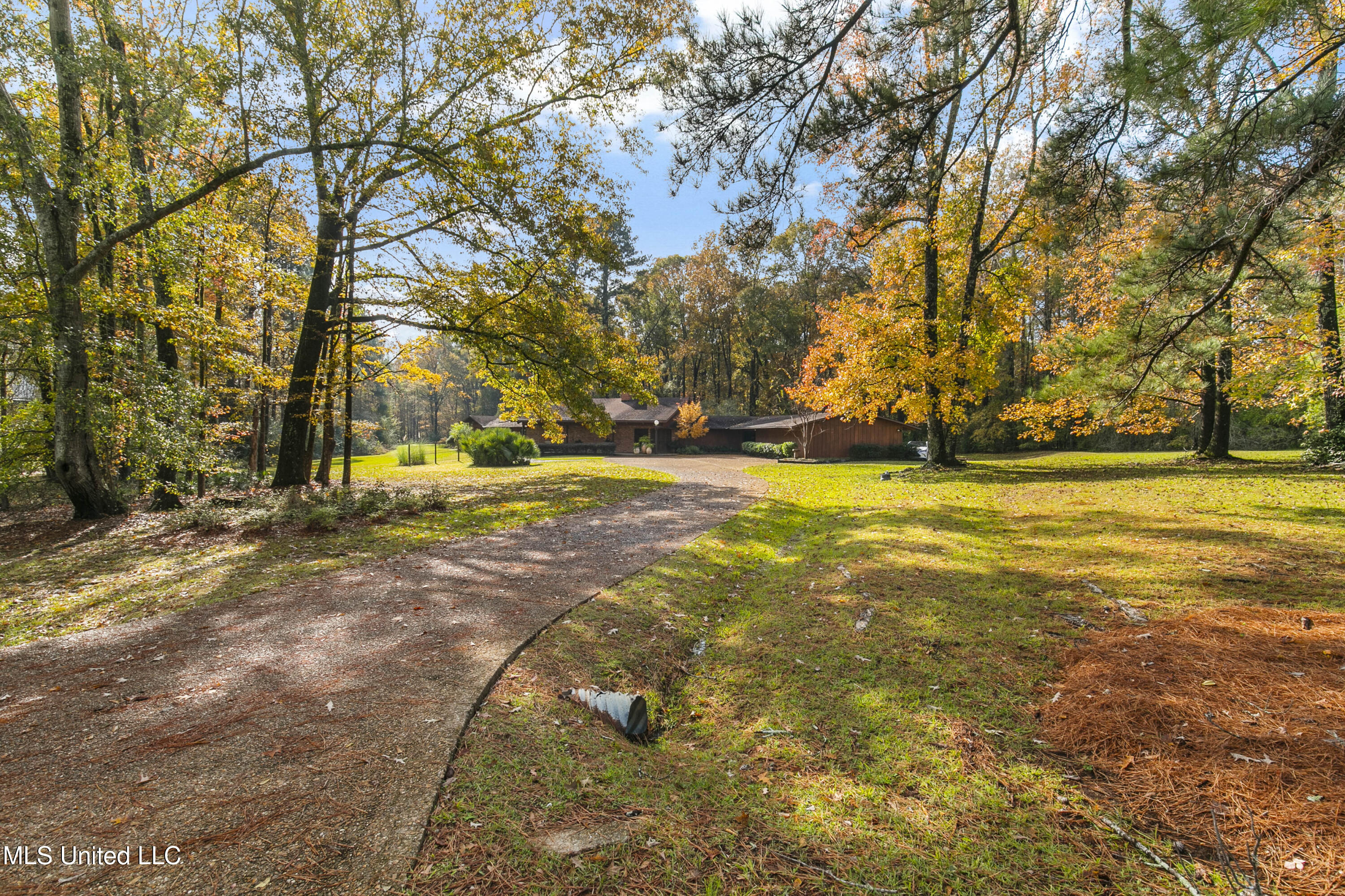 305 Hand Drive Flowood, MS 39232 - Photo 12 of 86 305 Hand Dr-2