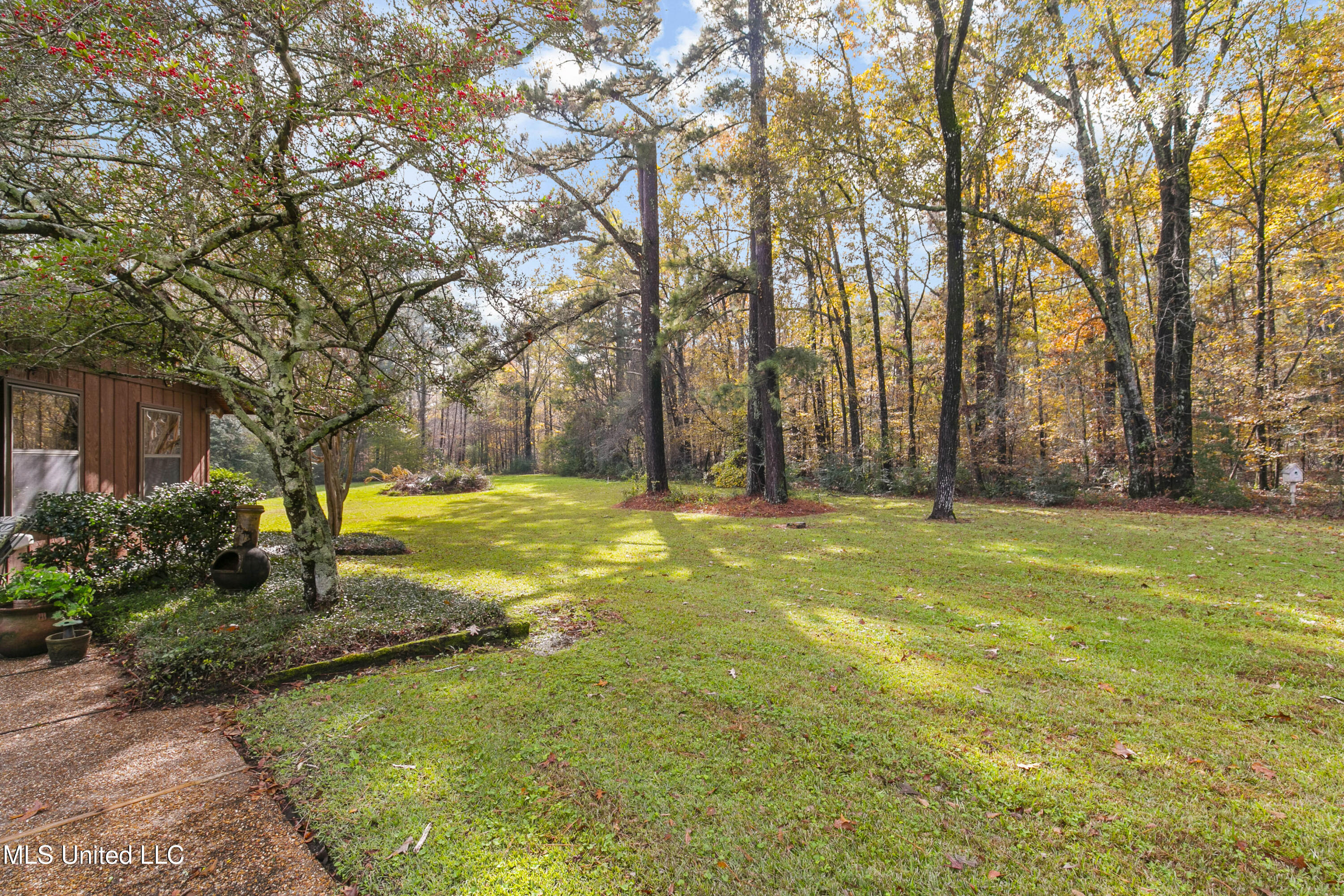 305 Hand Drive Flowood, MS 39232 - Photo 13 of 86 305 Hand Dr-74