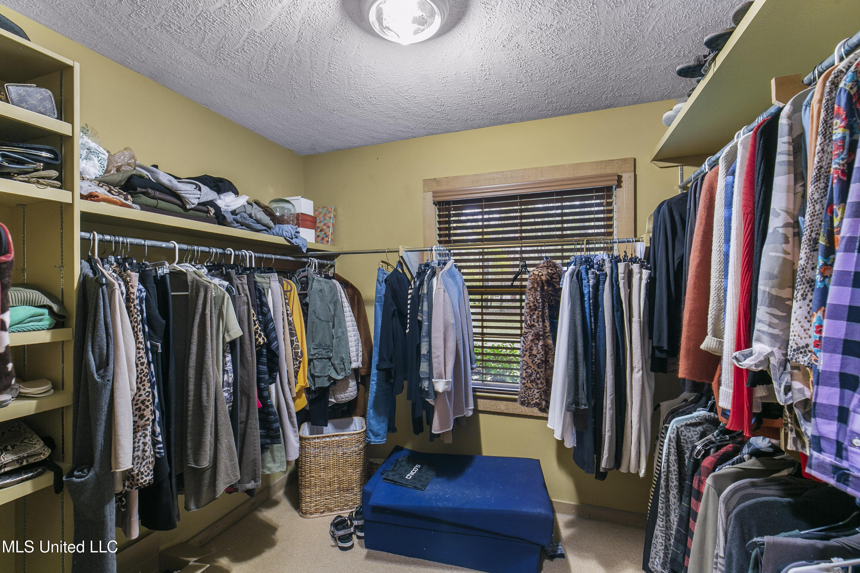 305 Hand Drive Flowood, MS 39232 - Photo 74 of 86 305 Hand Dr-61