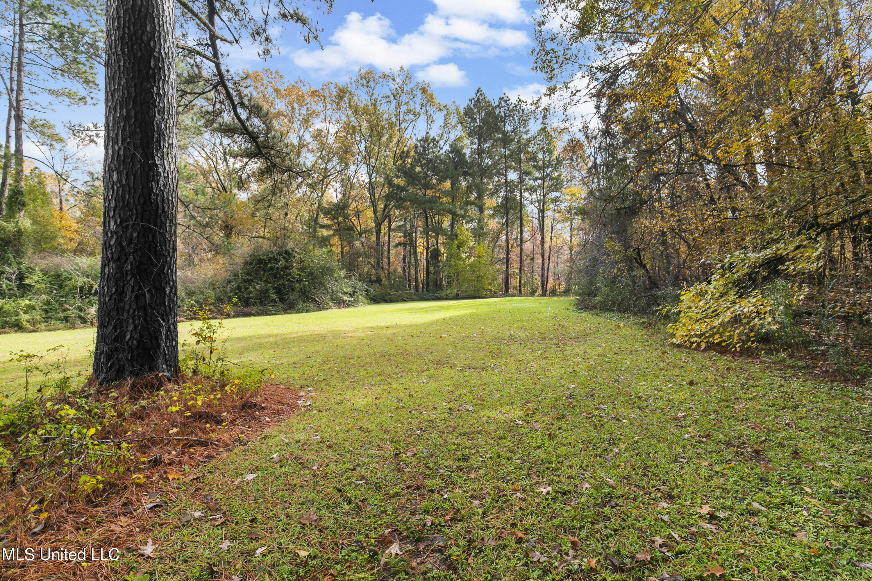 305 Hand Drive Flowood, MS 39232 - Photo 77 of 86 305 Hand Dr-78