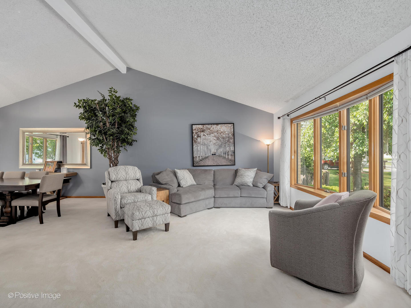 516 Camdon Circle Bartlett, IL 60103 - Photo 7 of 34 a living room with furniture and a large window