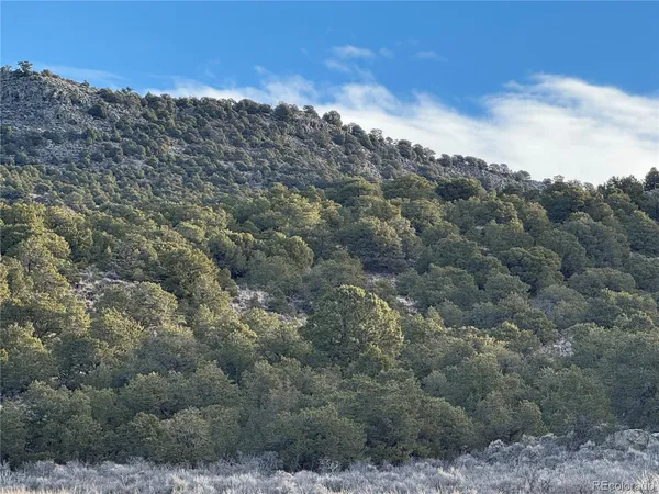 a view of a mountain in the distance