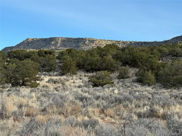 a view of a dry yard with mountains in the background