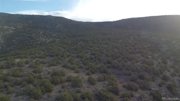 a view of a mountain range with trees in the background
