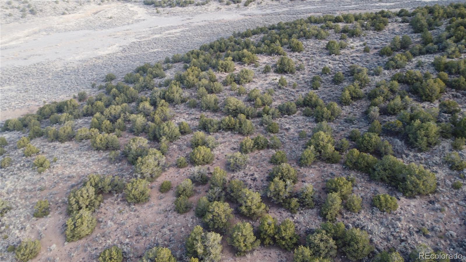 Lot 54 Old Stage Coach Road San Luis, CO 81152 - Photo 20 of 22 a view of a dry yard with green space