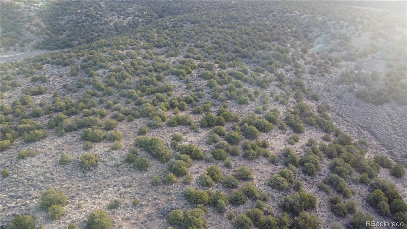 Lot 54 Old Stage Coach Road San Luis, CO 81152 - Photo 22 of 22 a view of a dry yard with a tree