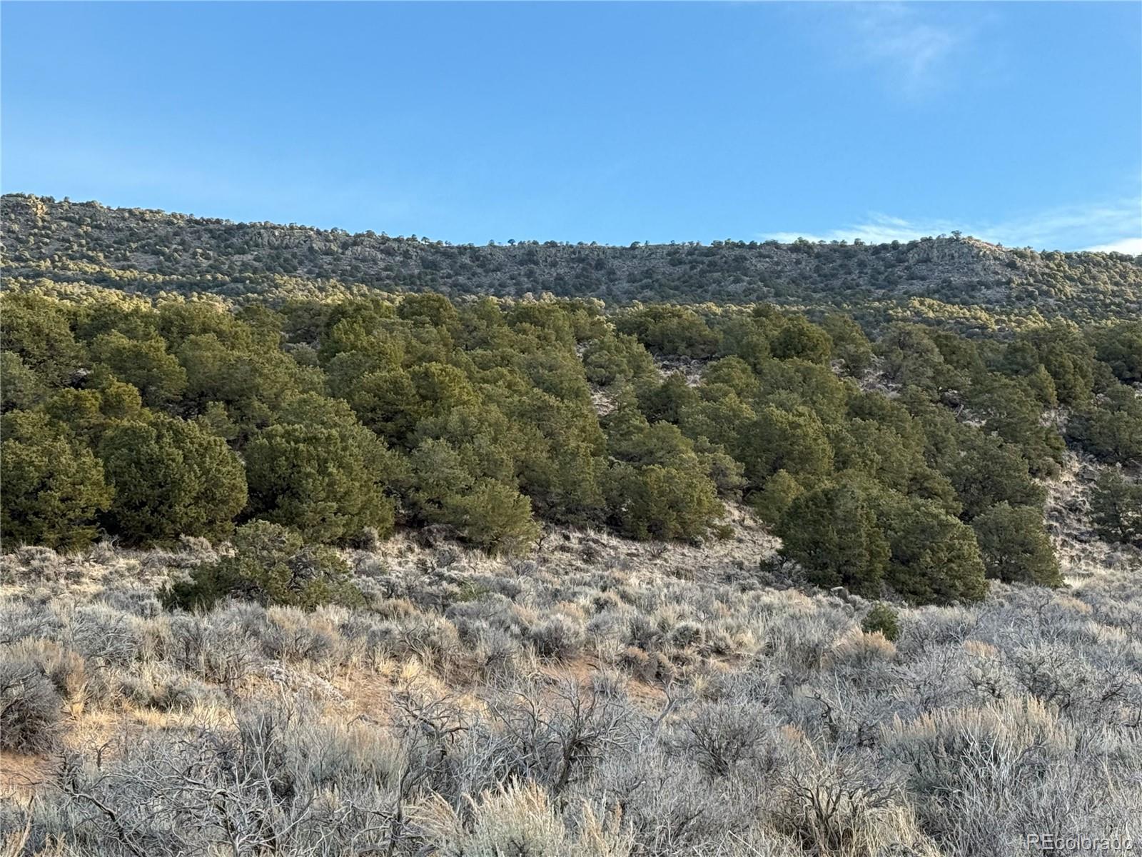 Lot 54 Old Stage Coach Road San Luis, CO 81152 - Photo 4 of 22