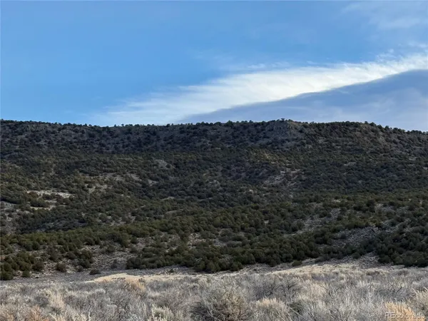 a view of a mountain in the distance in a field