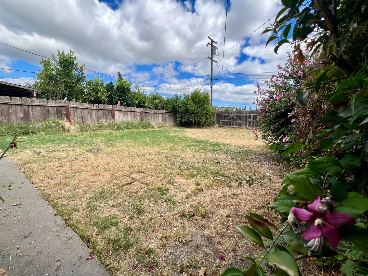 2101 Parr Avenue Modesto, CA 95358 - Photo 15 of 20 a backyard of a house with lots of green space