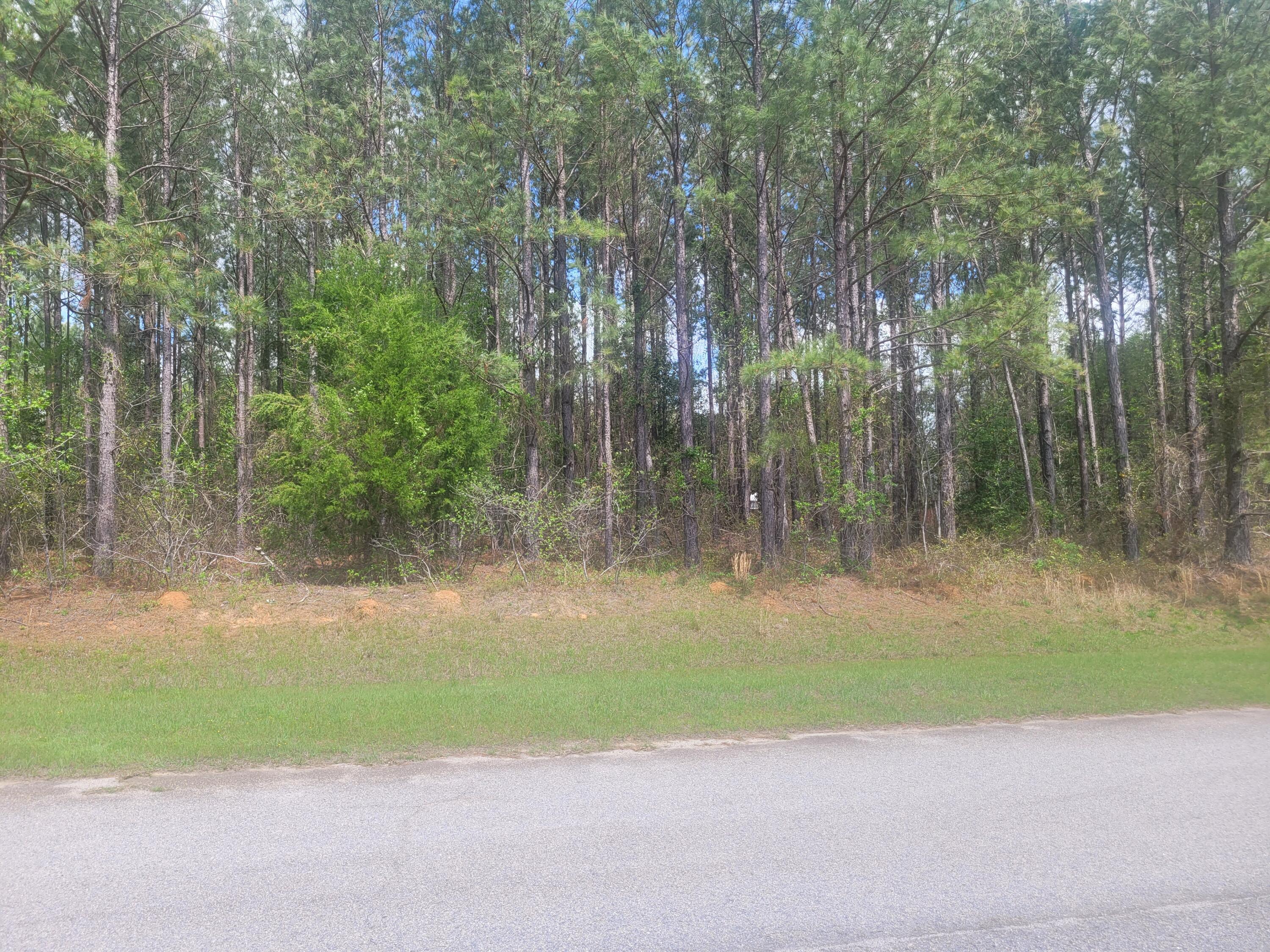 This lot is ready for you to build your New Dream Home! Easy commute to Fort Gordon and Augusta.