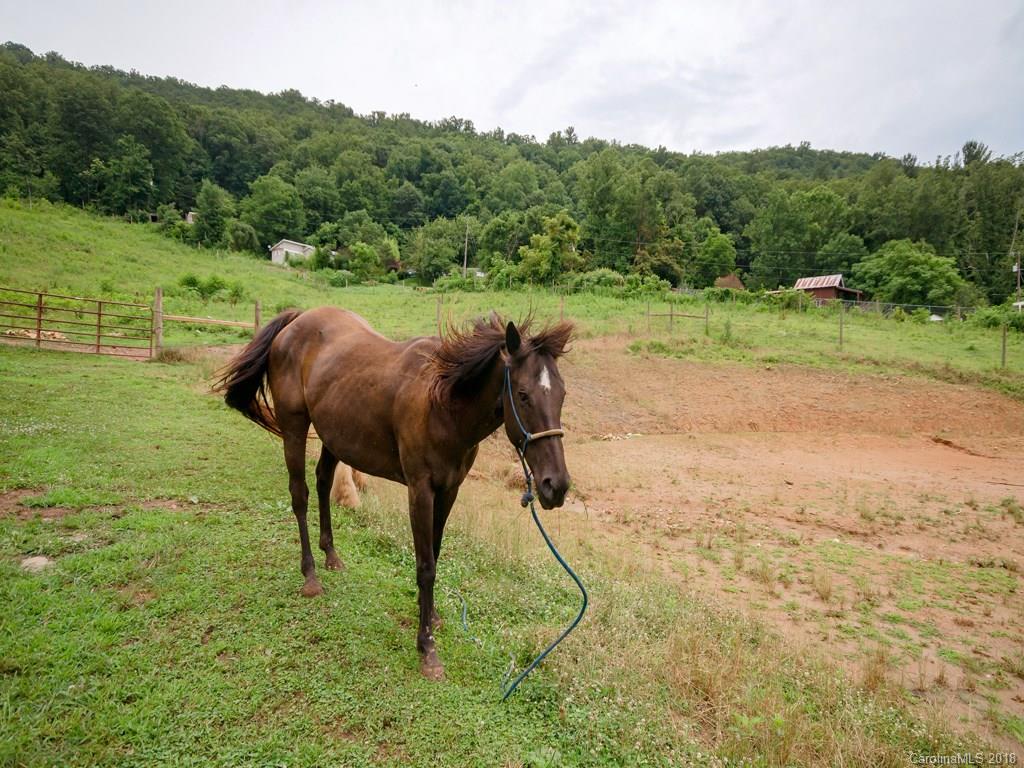 565 School Road East Asheville, NC 28803 - Photo 15 of 22