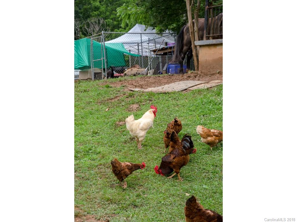 565 School Road East Asheville, NC 28803 - Photo 16 of 22