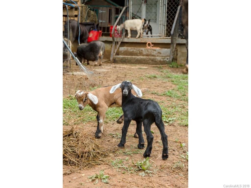 565 School Road East Asheville, NC 28803 - Photo 17 of 22