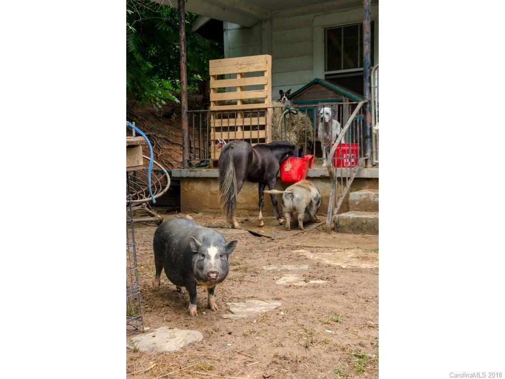 565 School Road East Asheville, NC 28803 - Photo 18 of 22