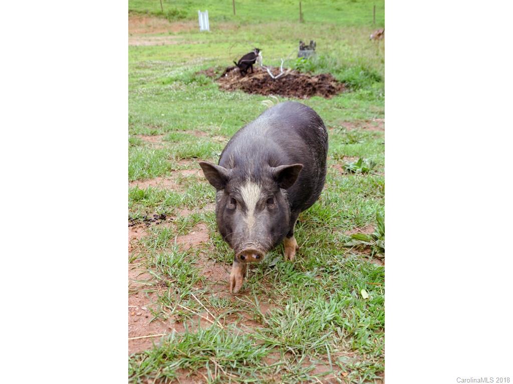 565 School Road East Asheville, NC 28803 - Photo 19 of 22