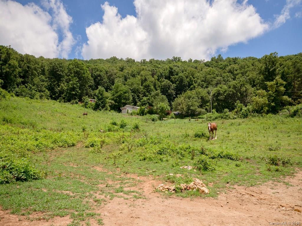 565 School Road East Asheville, NC 28803 - Photo 9 of 22