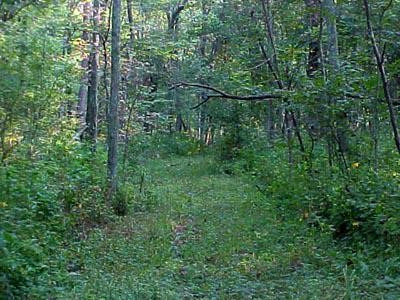 0 Hwy 330 Road, Unit 4 Corinth, KY 41010 - Photo 3 of 5