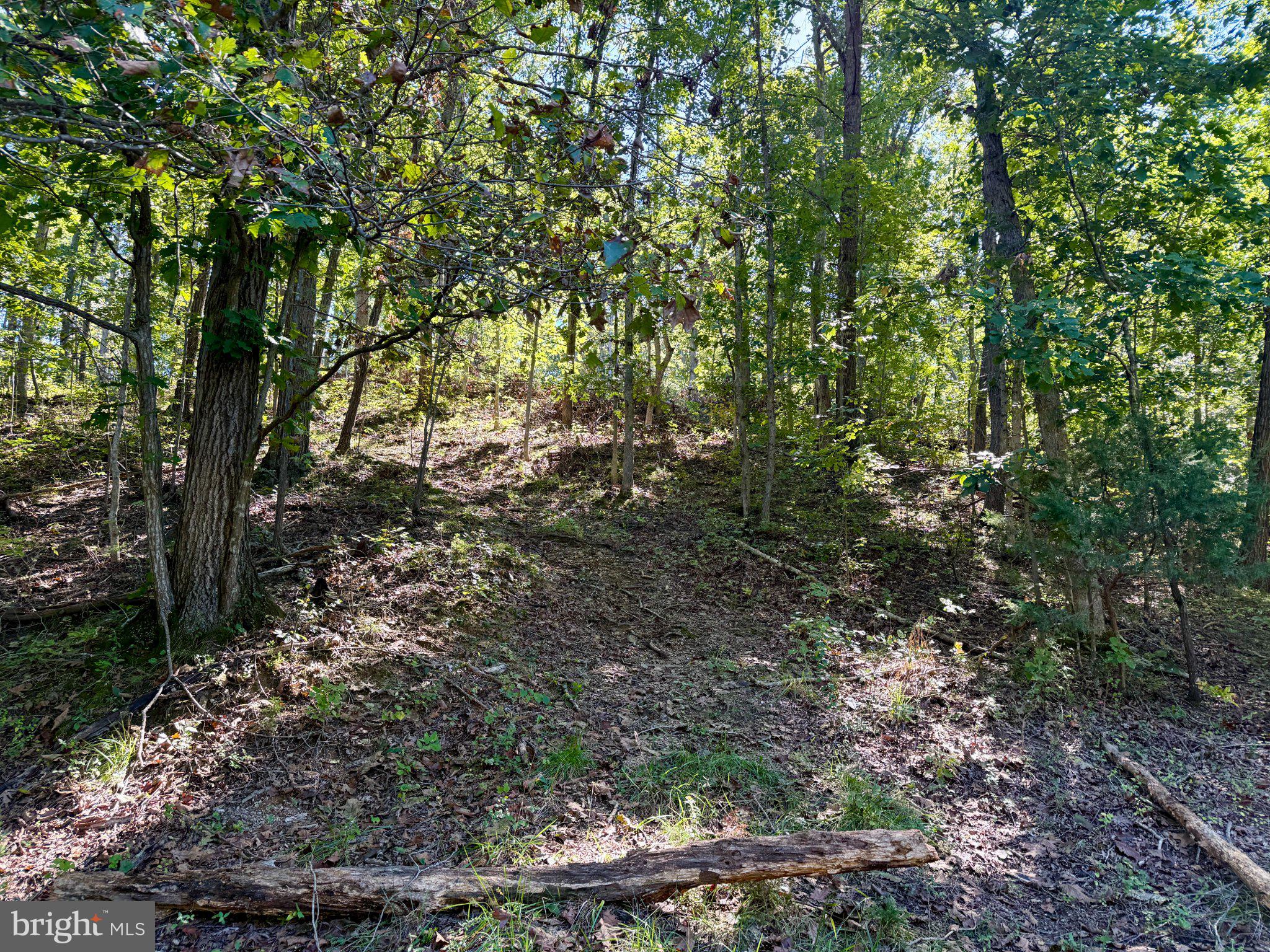 Lot 147 Tea Berry Road Maurertown, VA 22644 - Photo 1 of 1 Gallery Image 1