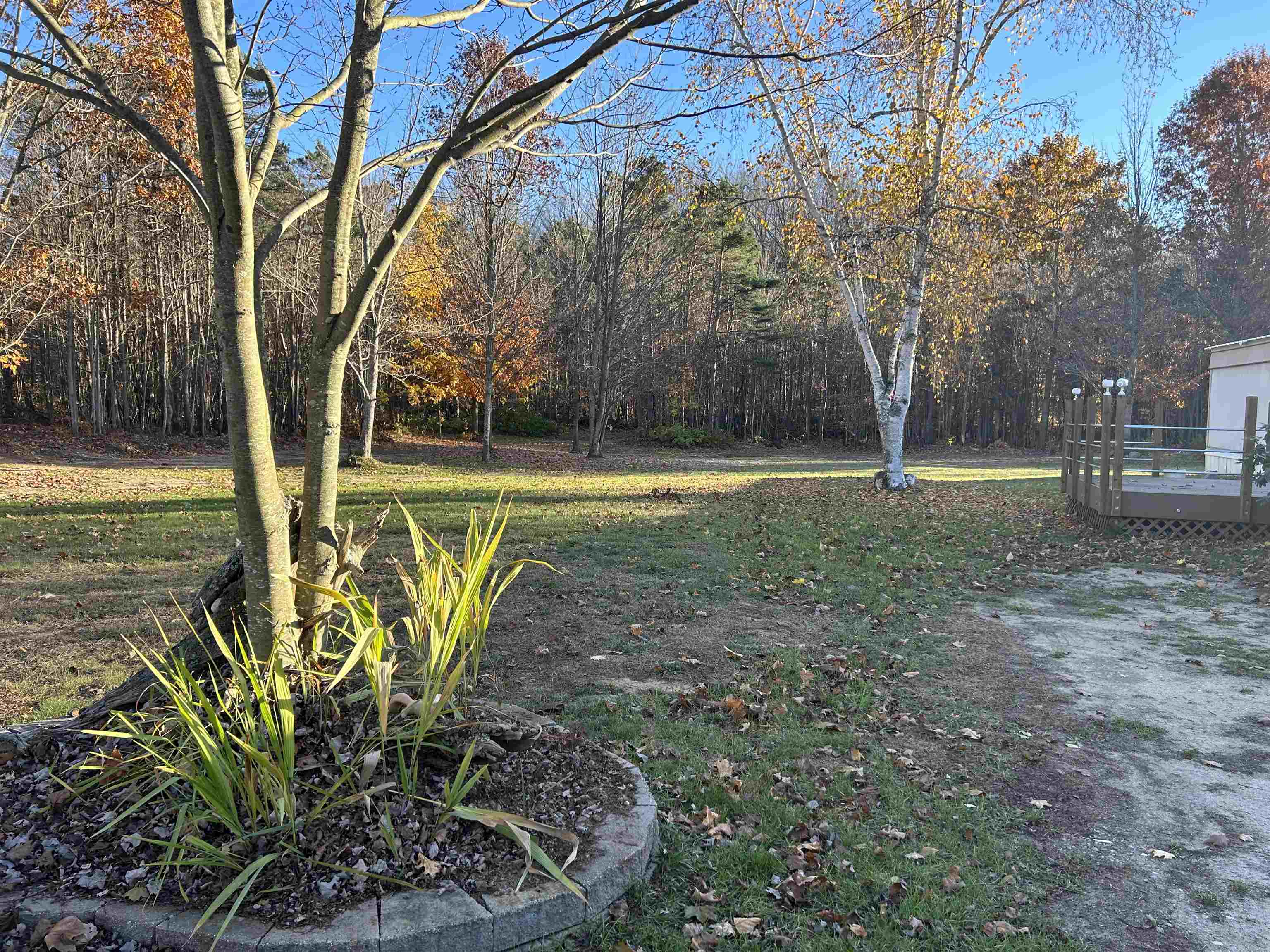 857 Thomas Road South Boardman, MI 49680 - Photo 12 of 24 1940331-f68e7537-3daf-4cd8-87d6-507adfb51395.JPG