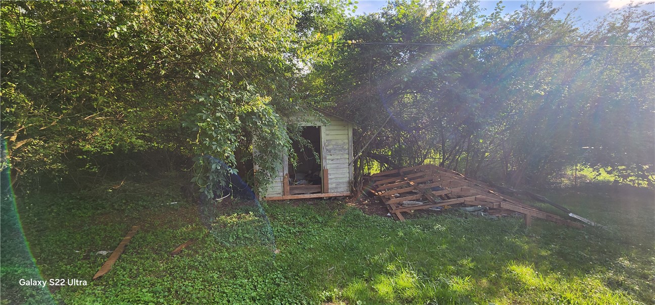 105 Hope Avenue Seneca, SC 29678 - Photo 31 of 33 A quaint shed, nestled amidst lush foliage, offers a charming garden retreat.